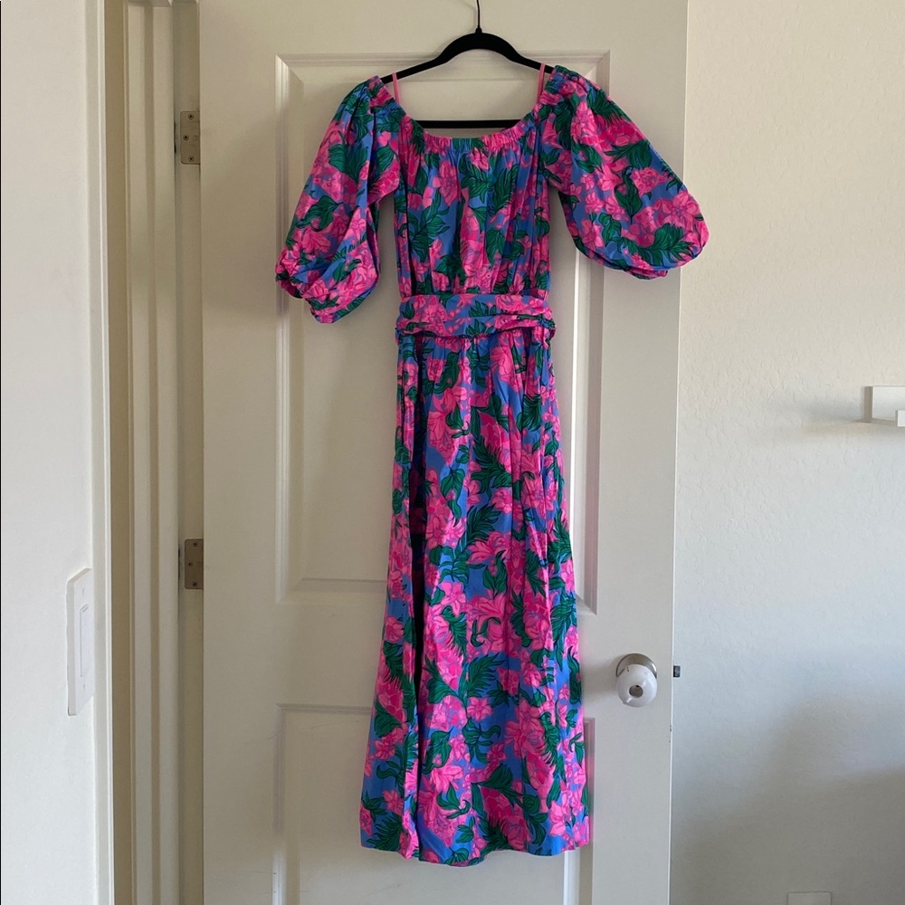 Lilly Pulitzer Pink and Blue Floral Maxi Dress - Picture 6 of 6